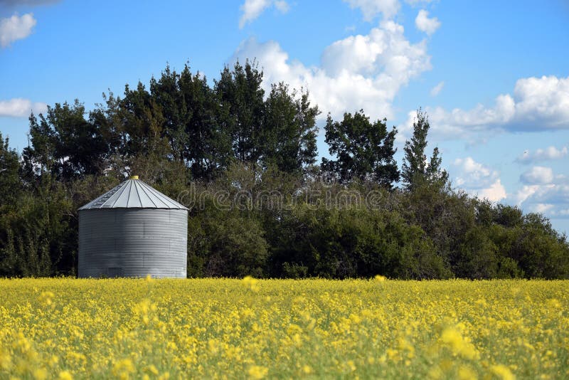 Steel Grain Storage Bin stock photo. Image of nature 97716612