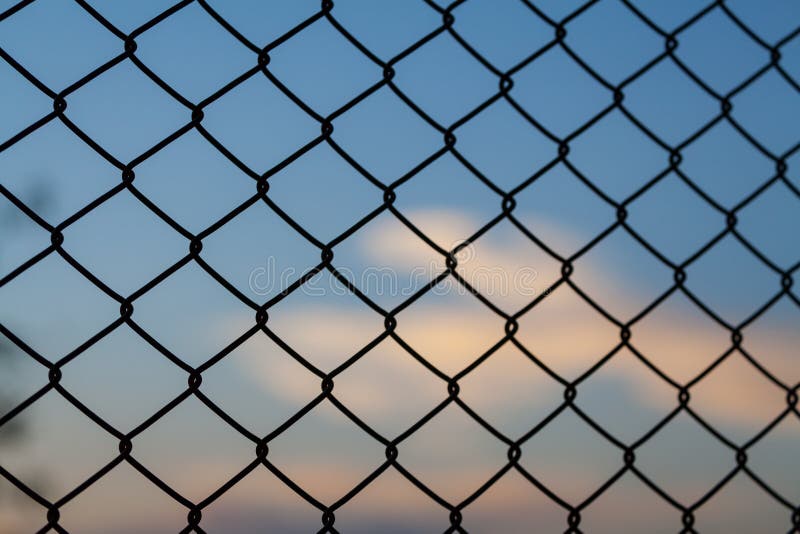 Steel net fence to freedom stock photo. Image of wire ...
