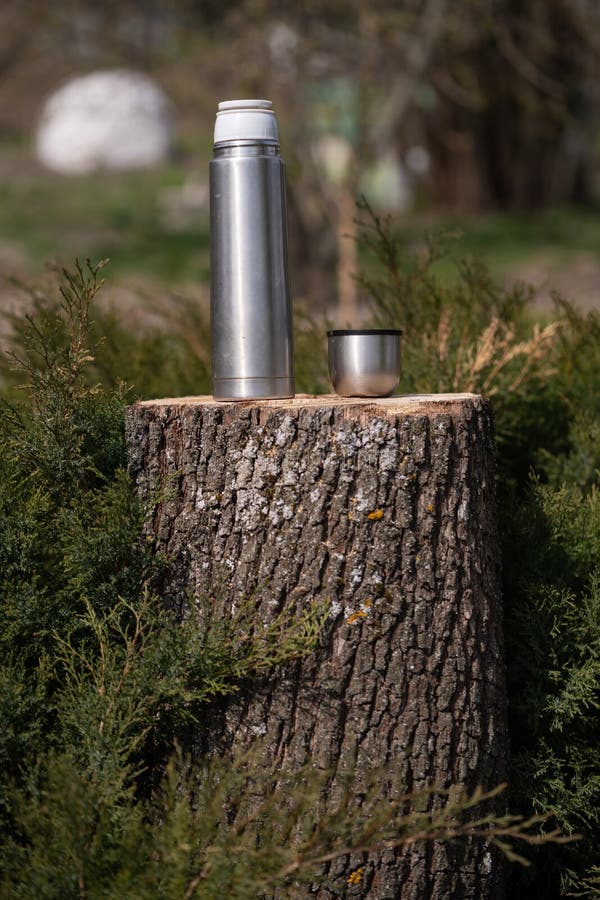 Steel Thermos With A Cup Of Hot Tee Standing On Old Stump In