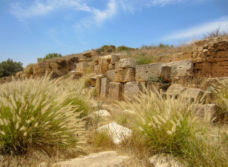 Steenblokken tegen blauwe hemel met fonteingras bij oude Roman ruïnes van Leptis Magna in Libië royalty-vrije stock fotografie Steenblokken tegen blauwe hemel met fonteingras bij oude Roman ruïnes van Leptis Magna in Libië royalty-vrije stock fotografie