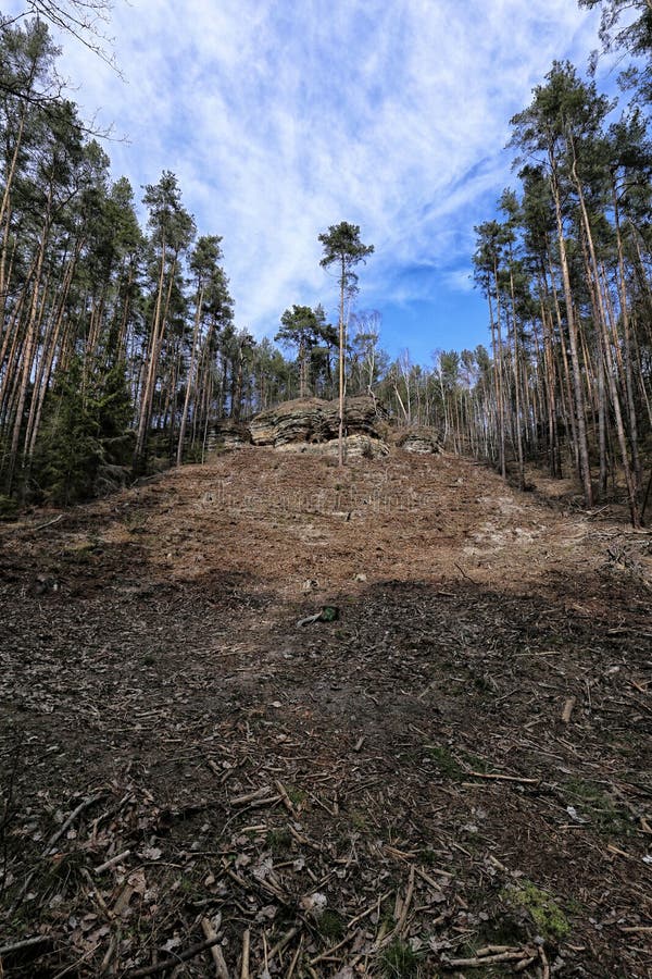 Steep Hill with Wide Clearing with Trees on Sides Stock Photo Image