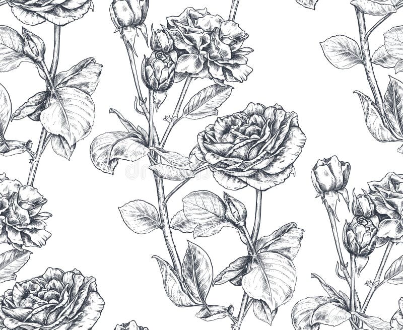 Steg den sömlösa modellen för vektorn med den drog handen blommor och sidor på vit stock illustrationer