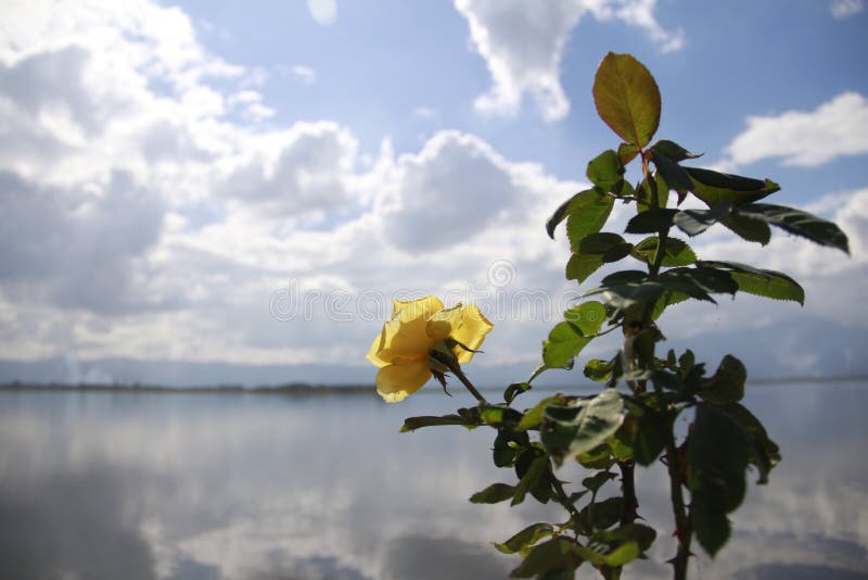 Steg på den Kwan phayaoen royaltyfri fotografi Steg på den Kwan phayaoen royaltyfri fotografi