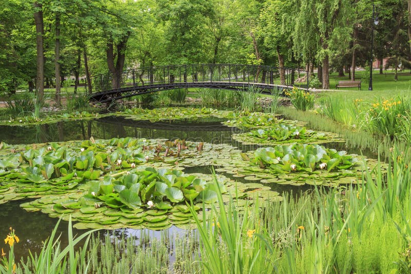 Steg über Einem Teich Im Stadtpark Stockbild Bild von stadt, wolken