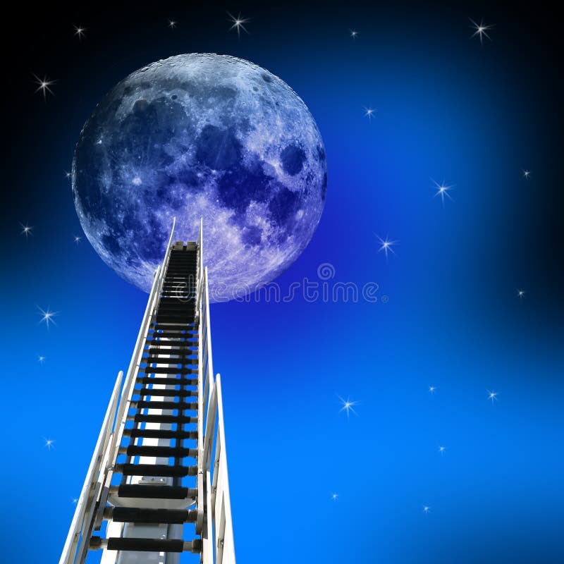 stegemoon till upp arkivbilder stegemoon till upp arkivbilder