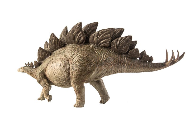 Stegosauro dinosauro su fondo bianco immagini stock libere da diritti