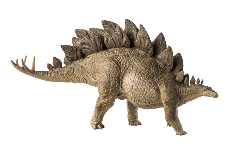Stegosauro dinosauro su fondo bianco immagine stock libera da diritti