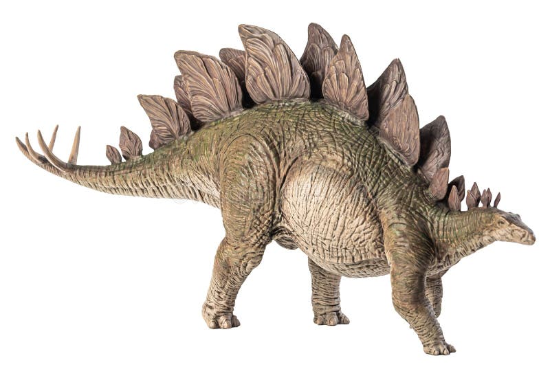 Stegosauro dinosauro su fondo bianco fotografia stock libera da diritti