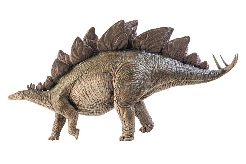 Stegosauro dinosauro su fondo bianco fotografia stock