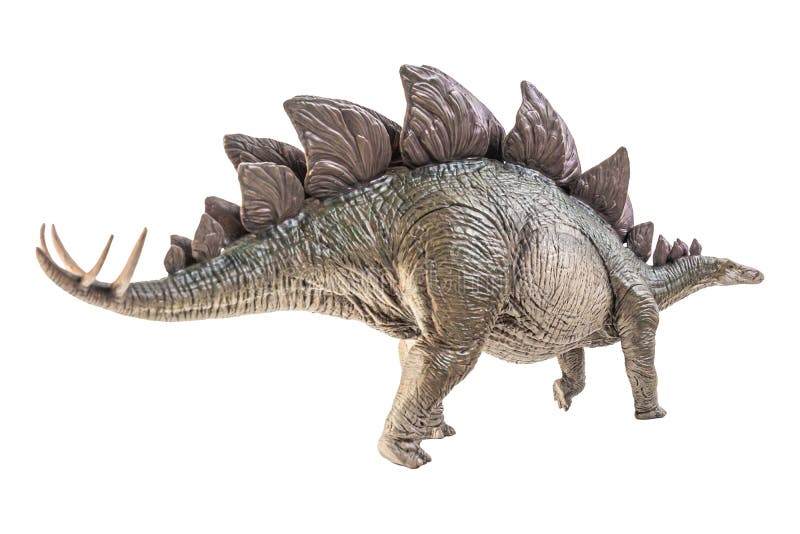 Stegosauro dinosauro su fondo bianco fotografie stock