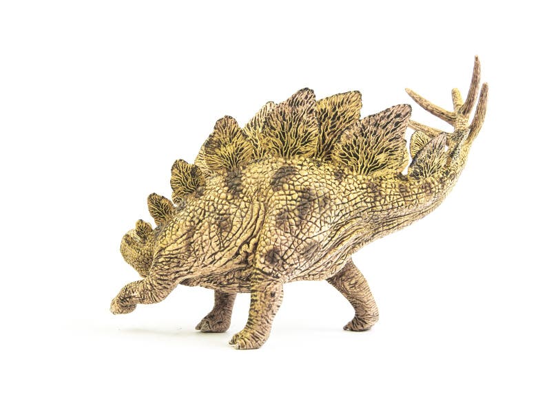 Stegosaurus , dinosauro su fondo bianco fotografie stock libere da diritti