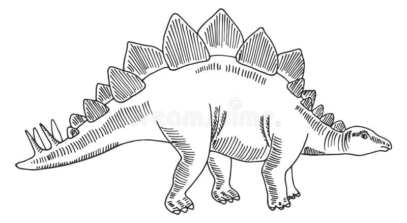 Stegosaurus sketch. Ancient dinosaur. Hand drawn animal vector illustration