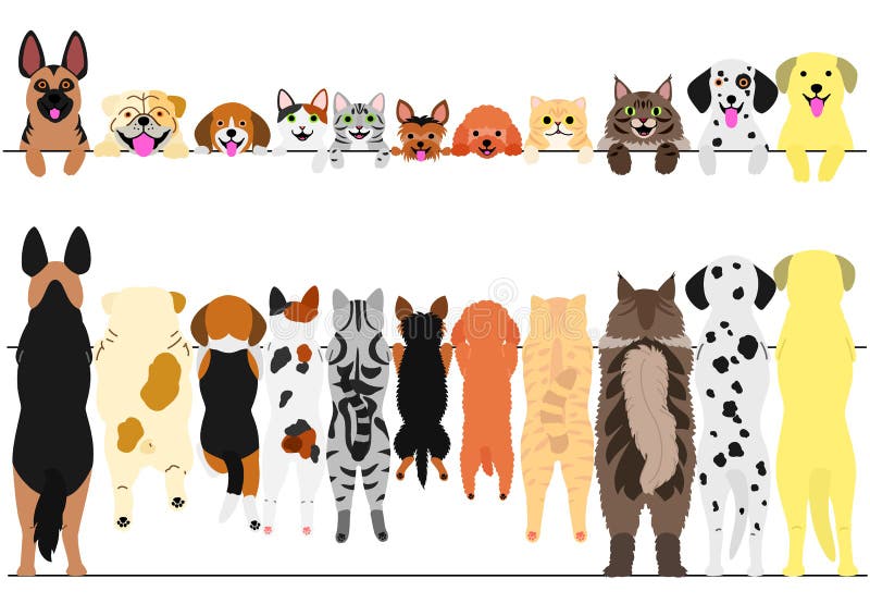 Standing large and small dogs and cats front and back border set. Standing large and small dogs and cats front and back border set.