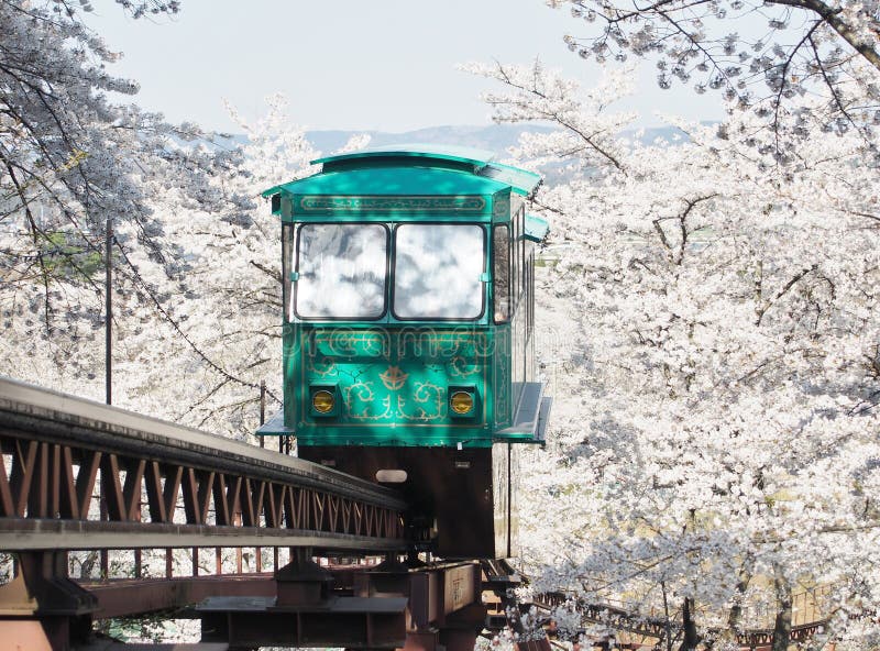Steigungsauto, das durch Tunnel der Kirschblüte (Kirschblüte, überschreitet) lizenzfreie stockfotos Steigungsauto, das durch Tunnel der Kirschblüte (Kirschblüte, überschreitet) lizenzfreie stockfotos