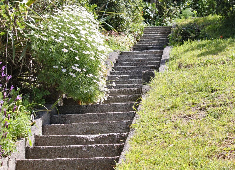 Steile konkrete Schritte in einem Garten in Wellington, Neuseeland Eins der Vergnügen des Lebens an der Spitze eines steilen Hang lizenzfreies stockbild Steile konkrete Schritte in einem Garten in Wellington, Neuseeland Eins der Vergnügen des Lebens an der Spitze eines steilen Hang lizenzfreies stockbild