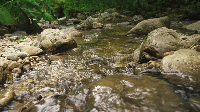 Stein mit Moos im Wasserfall im Waldbachwasser, das durch die wunderbaren Park läuft.