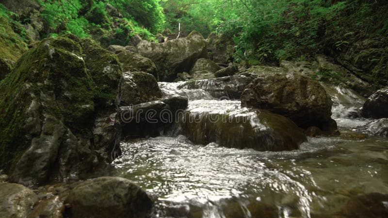 Stein mit Moos im Wasserfall im Waldnebenfluß