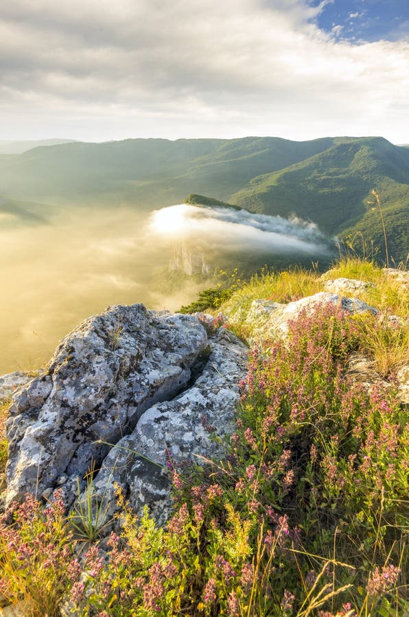 Stein mitten in der Vegetation auf die Oberseite des moun stockbild Stein mitten in der Vegetation auf die Oberseite des moun stockbild