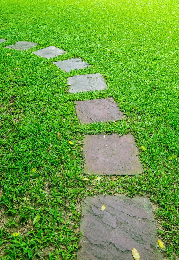 GartenSteinweg stockfoto. Bild von bahn, botanisch, gras