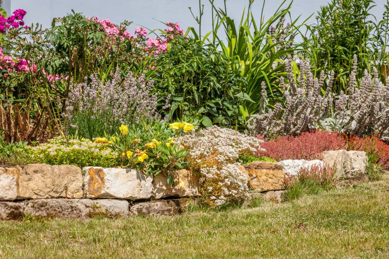 Steingarten mit Blumen stockfoto. Bild von wachsen, landwirtschaft