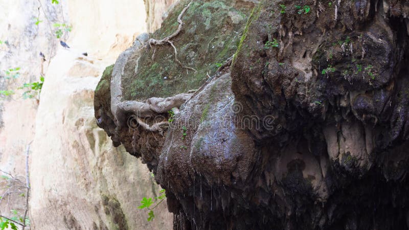 Steinstatue überwältigt mit Moos, unter vielen Anlagen, die hinunter die Wasserfallströme des Wassers fließen lizenzfreie stockfotografie