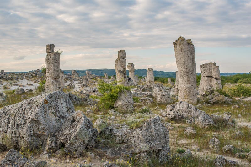 Steinwald (Pobiti Kamani) in Bulgarien lizenzfreie stockfotografie Steinwald (Pobiti Kamani) in Bulgarien lizenzfreie stockfotografie