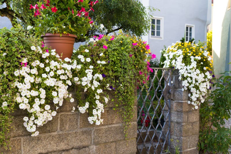 Steinwand verziert mit L Blumen stockbilder Steinwand verziert mit L Blumen stockbilder