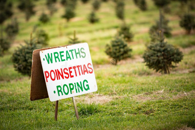 Roadside sign at a holiday Christmas tree farm says wreaths, poinsettias, and roping is for sale. Roadside sign at a holiday Christmas tree farm says wreaths, poinsettias, and roping is for sale.