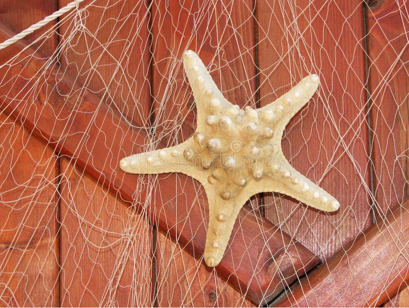 Islandburner Quadro Su Tela Conchiglie Di Mare Stelle Marine Su Sabbia Tropicale Turchese Caraibi Estate Vacanze Icona Viaggio XL Quadri Stampe Arte Poster Murale - Foto 8