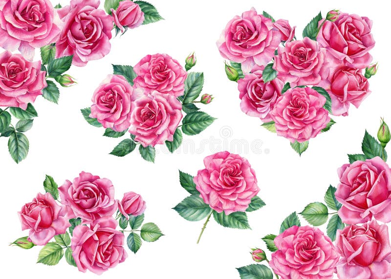 Stellen Sie die rosa Rosenherz-Blumendekorationen am weißen Hintergrundaquarellillustrationsvalentinsgrußtag ein lizenzfreie abbildung