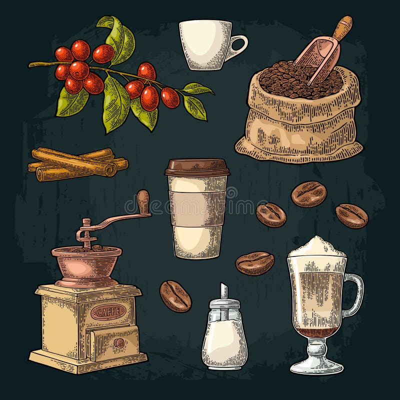 Kaffee-Arrangement. Latte im Glas, Hand hält Tasse. Zweig mit Bohnen lizenzfreie abbildung