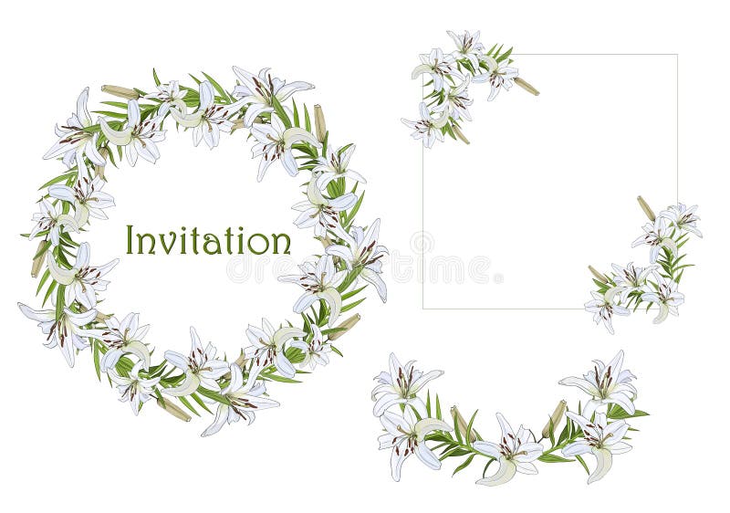 Stellen Sie vom Kranz, von den Halbrunden und von den Winkelelementen für Grüße, Einladungen mit Blumen der weißen Lilie ein stock abbildung Stellen Sie vom Kranz, von den Halbrunden und von den Winkelelementen für Grüße, Einladungen mit Blumen der weißen Lilie ein stock abbildung