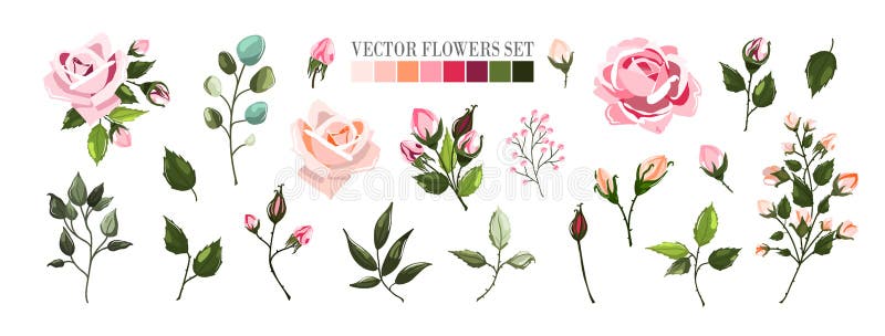 Stellen Sie von blassem - rosa rosafarbene Blumen und grüne Blattblumensträuße, Niederlassung ein stock abbildung