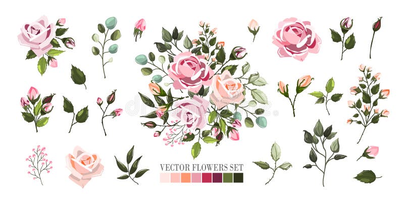 Stellen Sie von blassem - rosa rosafarbene Blumen und grüne Blattblumensträuße, Niederlassung, Vorbereitungen ein lizenzfreie abbildung