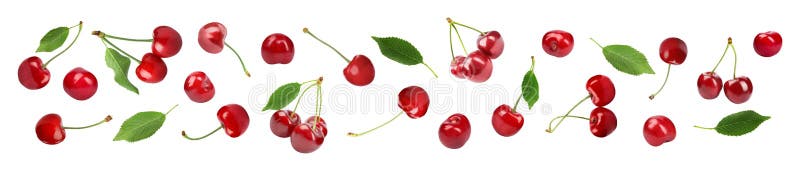 Stellen Sie von den köstlichen reifen süßen Kirschen auf Weiß ein Fahnendesign lizenzfreies stockfoto