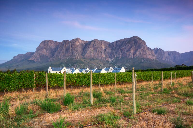 Stellenbosch, o coração da região de crescimento de vinho em Afri sul foto de stock Stellenbosch, o coração da região de crescimento de vinho em Afri sul foto de stock