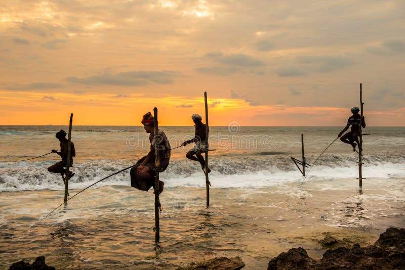 Stelzenfischer in Koggala, Sri Lanka stockfotografie Stelzenfischer in Koggala, Sri Lanka stockfotografie