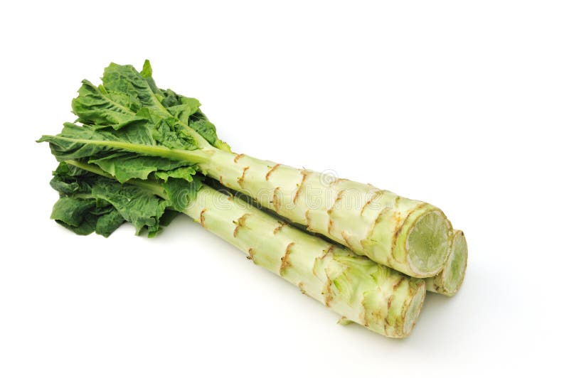 Image result for stem lettuce