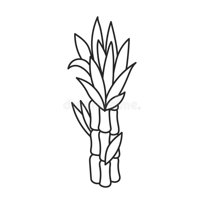 Sugar Cane Clipart Black And White
