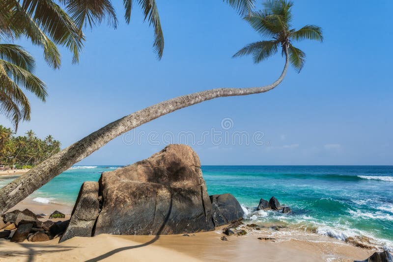 Stenen en palmen op een zandig strand van Hikkaduwa in Sri Lanka stock foto's Stenen en palmen op een zandig strand van Hikkaduwa in Sri Lanka stock foto's