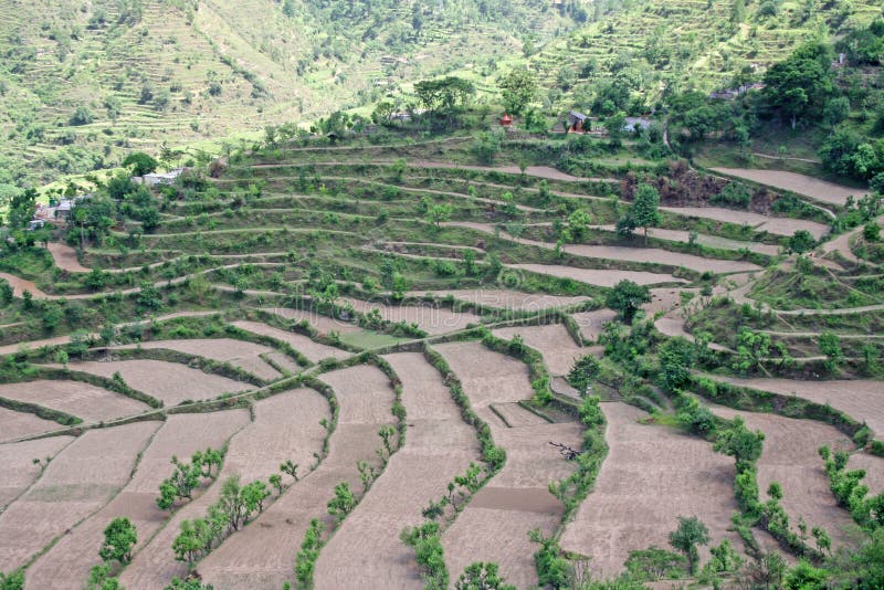 Step Farming In The Mountains Stock Image Image of fields, hills 929673