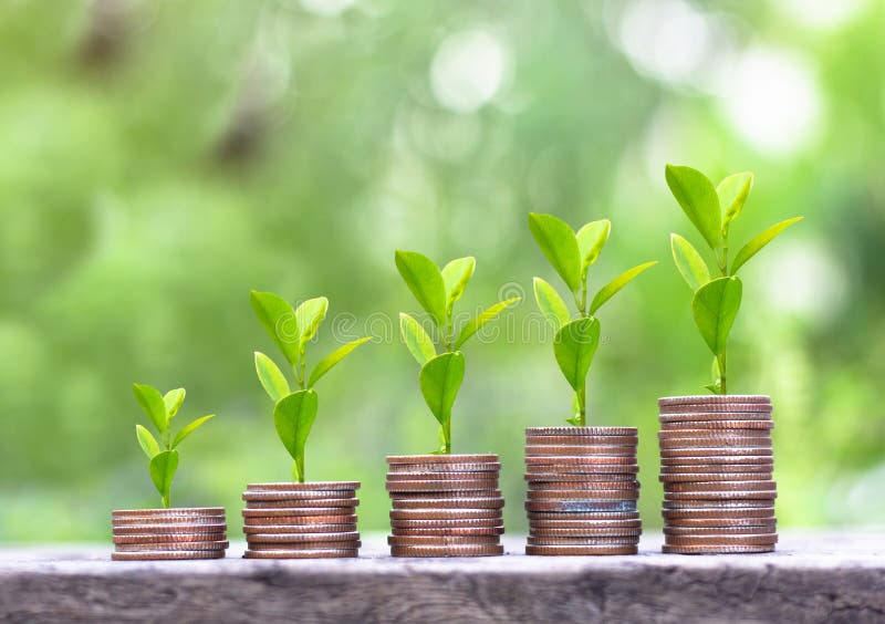 Step of money coins stacks ,Saving coins money concept stock images