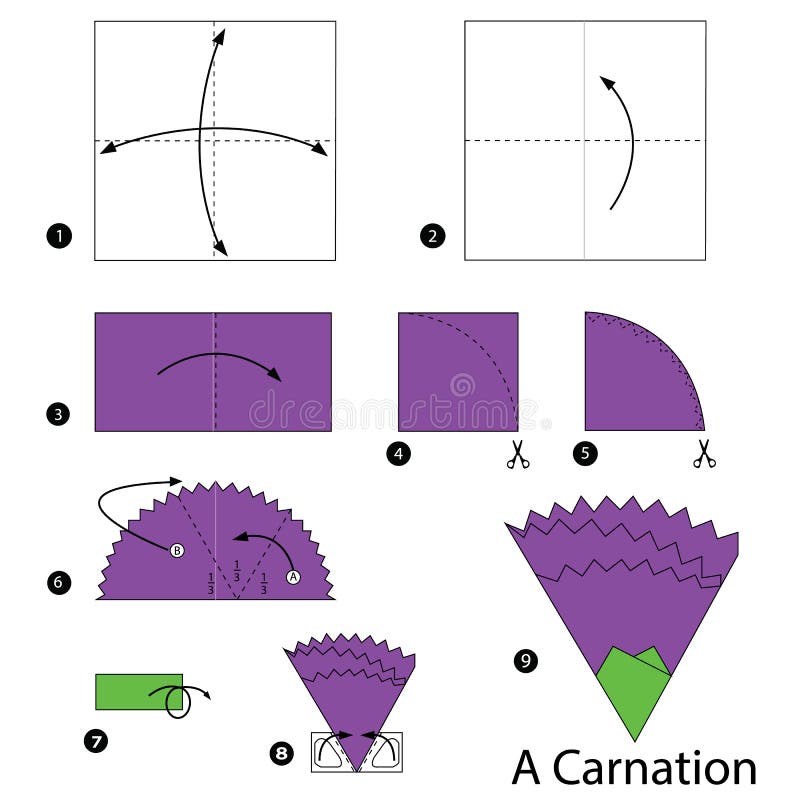 Step by step instructions how to make origami A Carnation. royalty free illustration