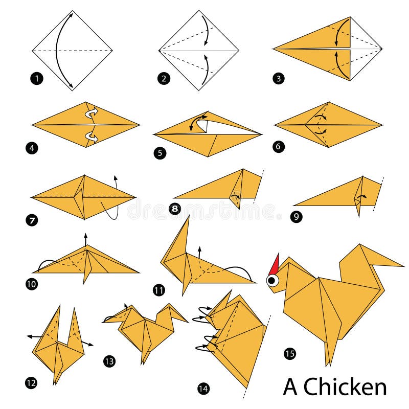 Step by step instructions how to make origami A Chicken. vector illustration