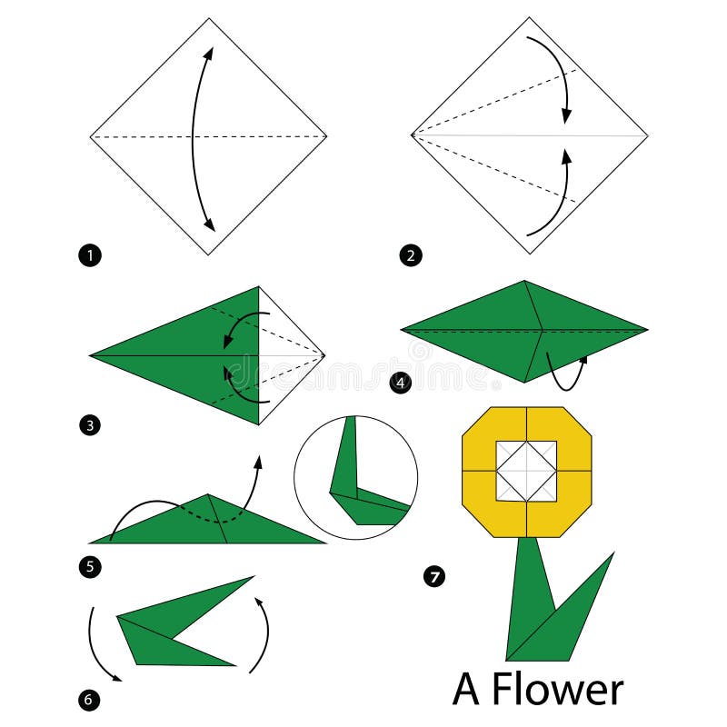 Step Step Instructions How To Make Origami Flower Stock Illustrations ...