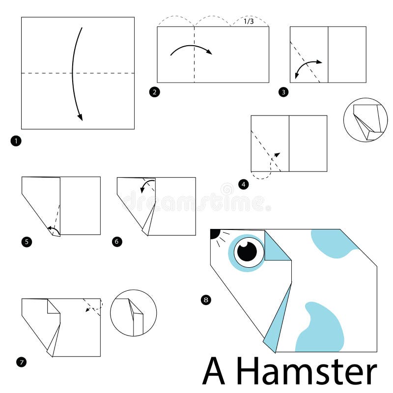 Step by step instructions how to make origami A Hamster. royalty free illustration