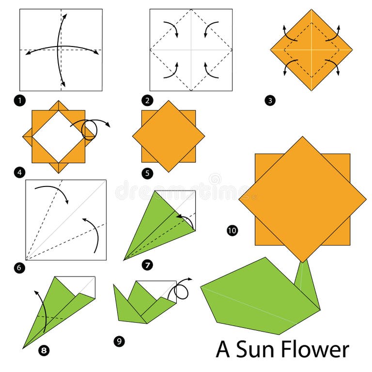 Step Step Instructions How To Make Origami Flower Stock Illustrations ...