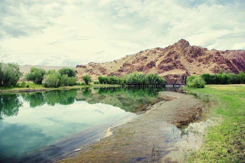 Steppe Crystal Clear Lake With Algae With Groves Of Trees Stock Image