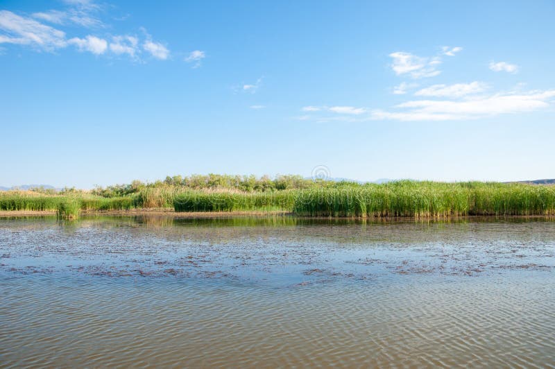 Steppe Summer. Turgai Save. Lake in the Desert Stock Photo - Image of ...