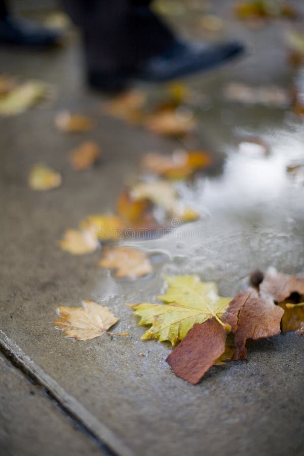 Stepping into puddle